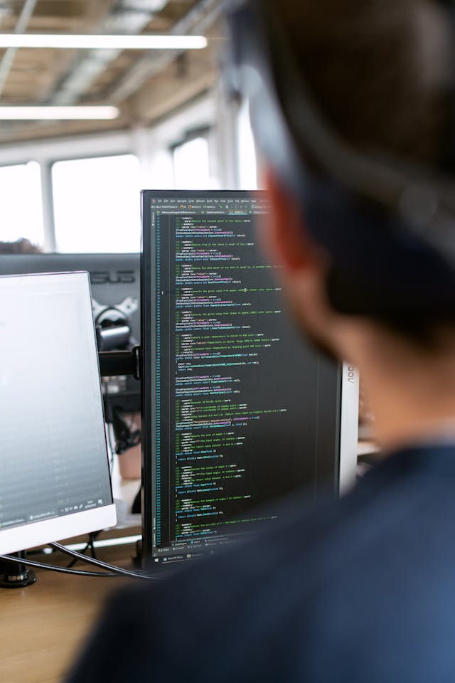 Technical Expert Programmer